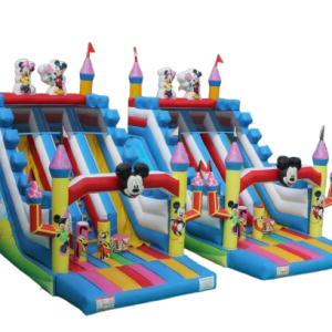 DISNEY SLIDE <br> 7 X 4 X 6H